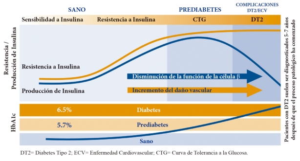 Quantose-RI-Infografia-01 Quantose RI