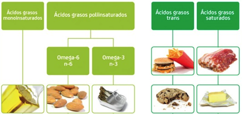 grasas saturadas hidratos de carbono reducir riesgo diabetes