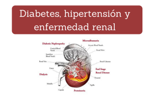 Diabetes, hipertensión y enfermedad renal (nefropatía)