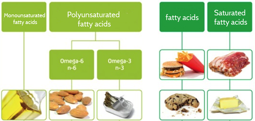 + healthy fats reduce risk diabetes - PATIA Diabetes