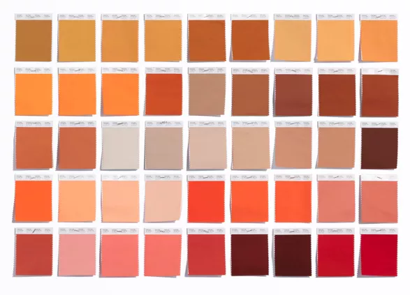 Meat consumption and its relationship with health and type 2 diabetes