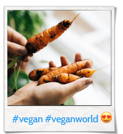 vegan instagram diabetes type 2