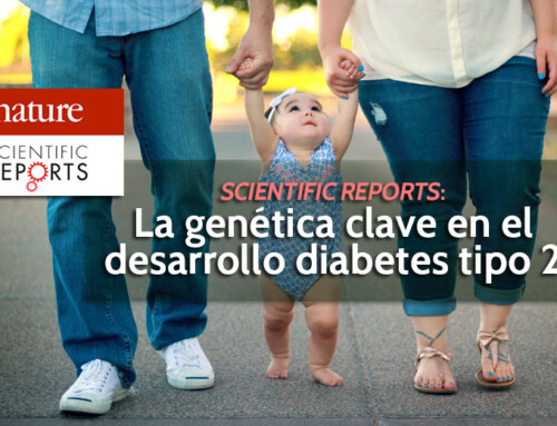 La genética contribuye más que obesidad en la diabetes tipo 2