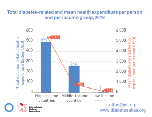 IDF health expenditure 