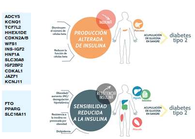 medicina precisión diabetes