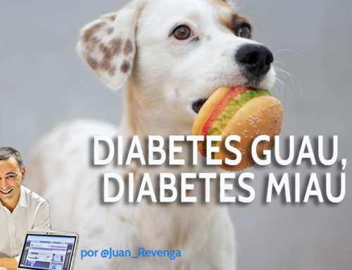 Diabetes guau, diabetes miau